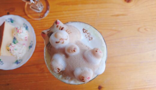 【2泊3日カップル旅】秋の熊本・大分 観光・グルメまとめ